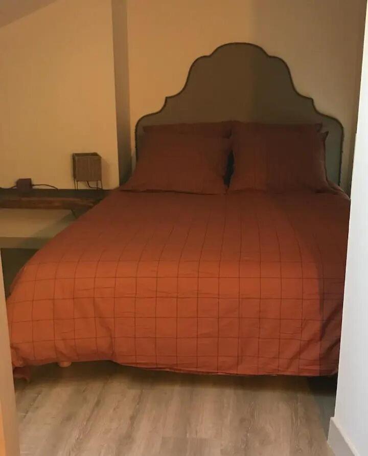 Appartement Douillet, Plein Centre Le Chambon-sur-Lignon Exterior foto